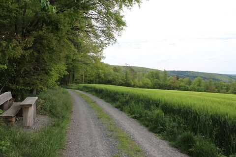 Vesperplatz mit Aussicht, Hardheim-Rütschdorf