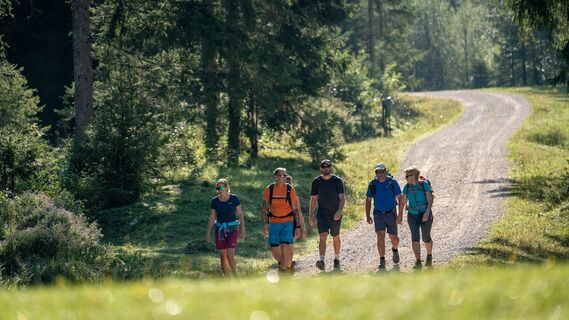 Tiroler Steinöl® Wanderung - am Beginn geht's durchs Unterautal