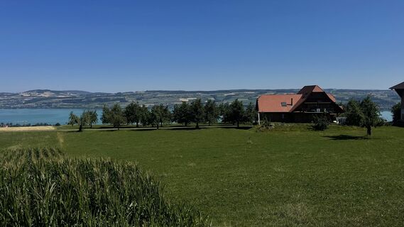 Fotografija s spletne strani Lis Malzach na poti