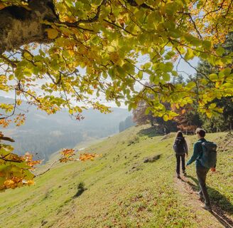 Herbst an der Fluh