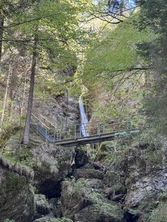 Foto von Denise Miller entlang der Tour
