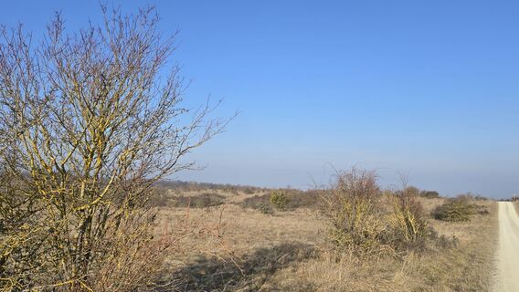 Fotografija s spletne strani Katja Senkel na poti