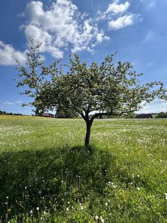 Fotografie z Christian Bratschko na trase