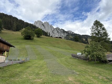Fotografija s spletne strani Peter Bolliger na poti
