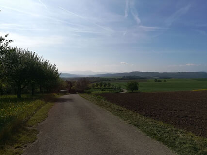 Albpanorama auf dem Warrenberg-Rundweg