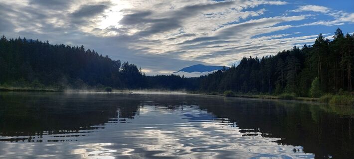 Fotografia z Gerhard Genshofer na trase