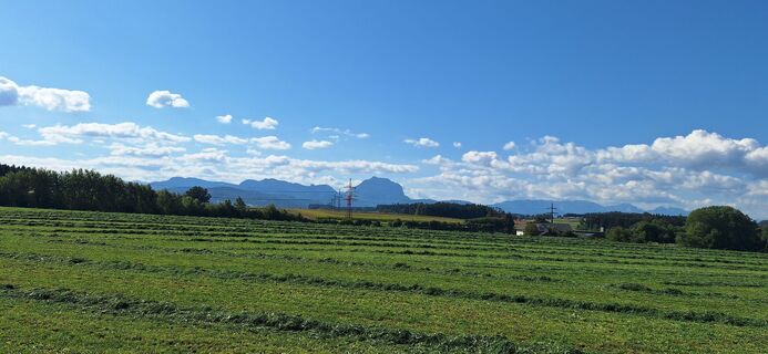 Foto von Klaus-GM entlang der Tour