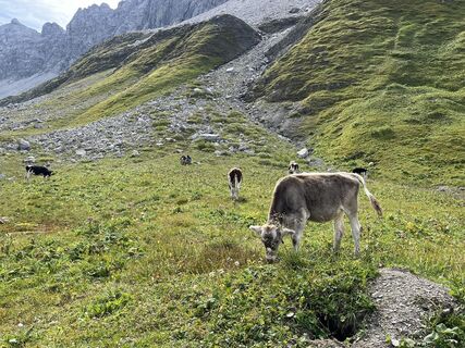 Foto von Schnee-Hexe entlang der Tour