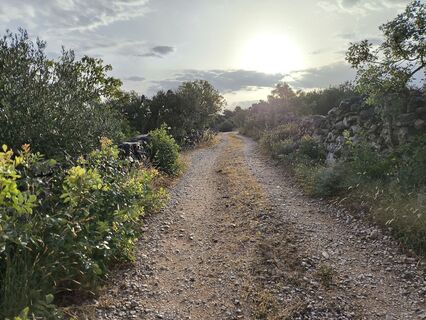 Foto von WilliSt entlang der Tour