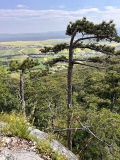 Foto von Marlies Berwein entlang der Tour