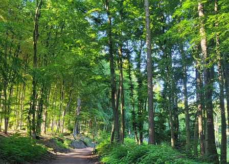 Wiehengebirge Lübbecke