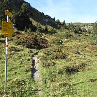 Wanderweg zum Weisshorn
