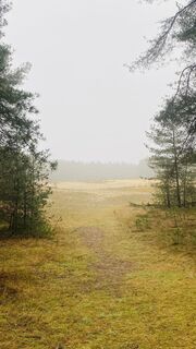 Foto von Hans van der Linde entlang der Tour