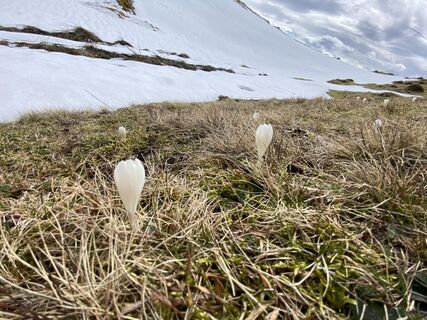 Foto de Sven Krieblin a lo largo del recorrido