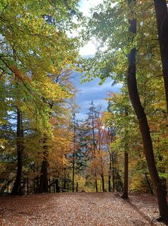 Fotó a Franz Jandl honlapról a túra során