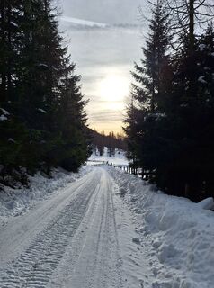 Fotografia z Dagmar Hofer na trase