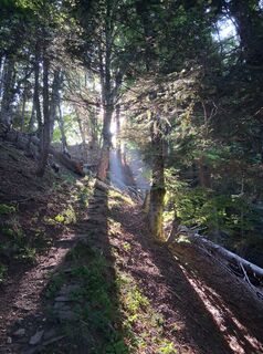 Photo de Stefan38 le long du parcours