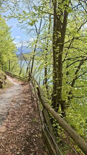 Foto de Mangolein a lo largo del recorrido