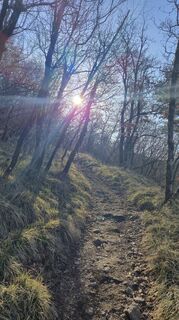 Фото с сайта Fabrizio Plesnizer во время экскурсии