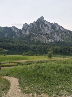 Fotografija s spletne strani seppopa na poti