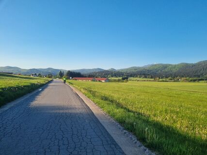 Foto de Grizli a lo largo del recorrido