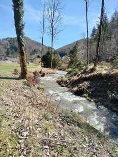 Photo de NIKOLAOS ASLANIDIS le long du parcours