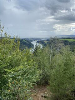 Photo de Ster le long du parcours