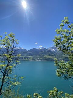 Fotografija s spletne strani Mimikeller15 na poti