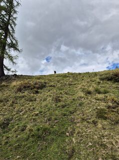 Foto de Patrick Unger a lo largo del recorrido