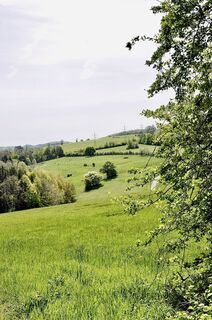 Fotografia z Kellner Heidi na trase