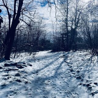 Foto de Bacskai János a lo largo del recorrido