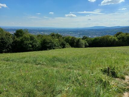 Fotografija s spletne strani Tom Theuer na poti