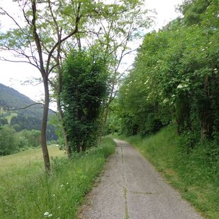 Alte Römerstraße Richtung Trebesing, höchster Wegpunkt