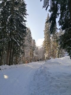 Foto de Dagmar Hofer a lo largo del recorrido