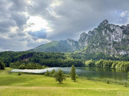 Foto van Dani Geiger / Natur_erleben_dg langs de tour