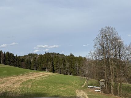 Fotografija s spletne strani Florian Leopold Stonig na poti