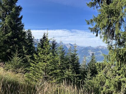 Fotografija s spletne strani Schnee-Hexe na poti