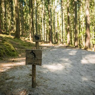 Holzweg