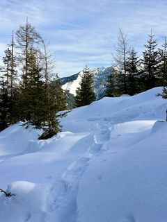 Fotografija s spletne strani likedhikes na poti