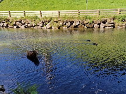 Fotografia z Mario Augustini na trase