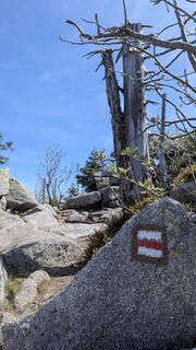 Foto von TaNja85 entlang der Tour