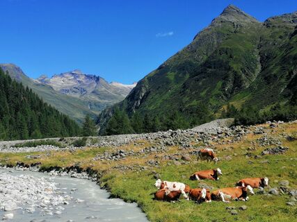 Fotó a Christina Turnwald honlapról a túra során
