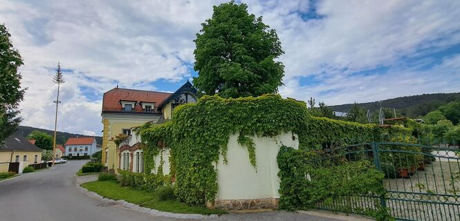 am Weg zum Aufstieg Guglzipf