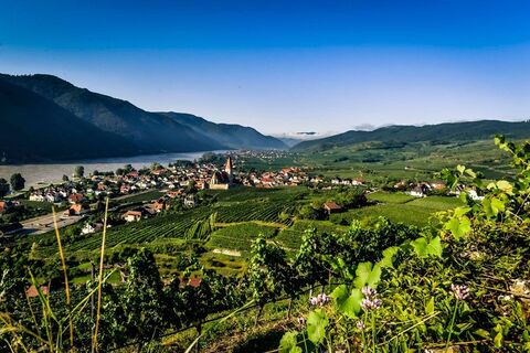 Weißenkirchen © Donau Niederösterreich/Robert Herbst