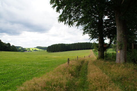 Wiesenweg bei Kleinfastenrath