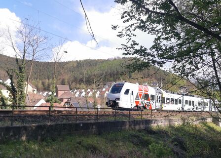 Bahnhaltestelle Neidenfels-Thomas Mann