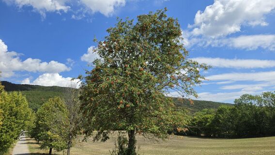 Fotografia z fschwarzenberger na trase