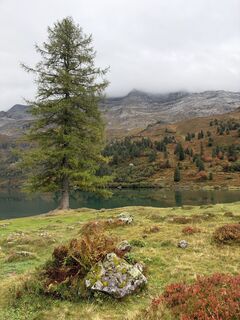 Fotografija s spletne strani Maya Stalder na poti