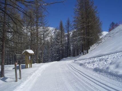 Decauville im Winter