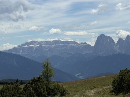 Photo de Koen Lauriks le long du parcours